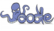 Oodle