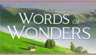 Words Of Wonders